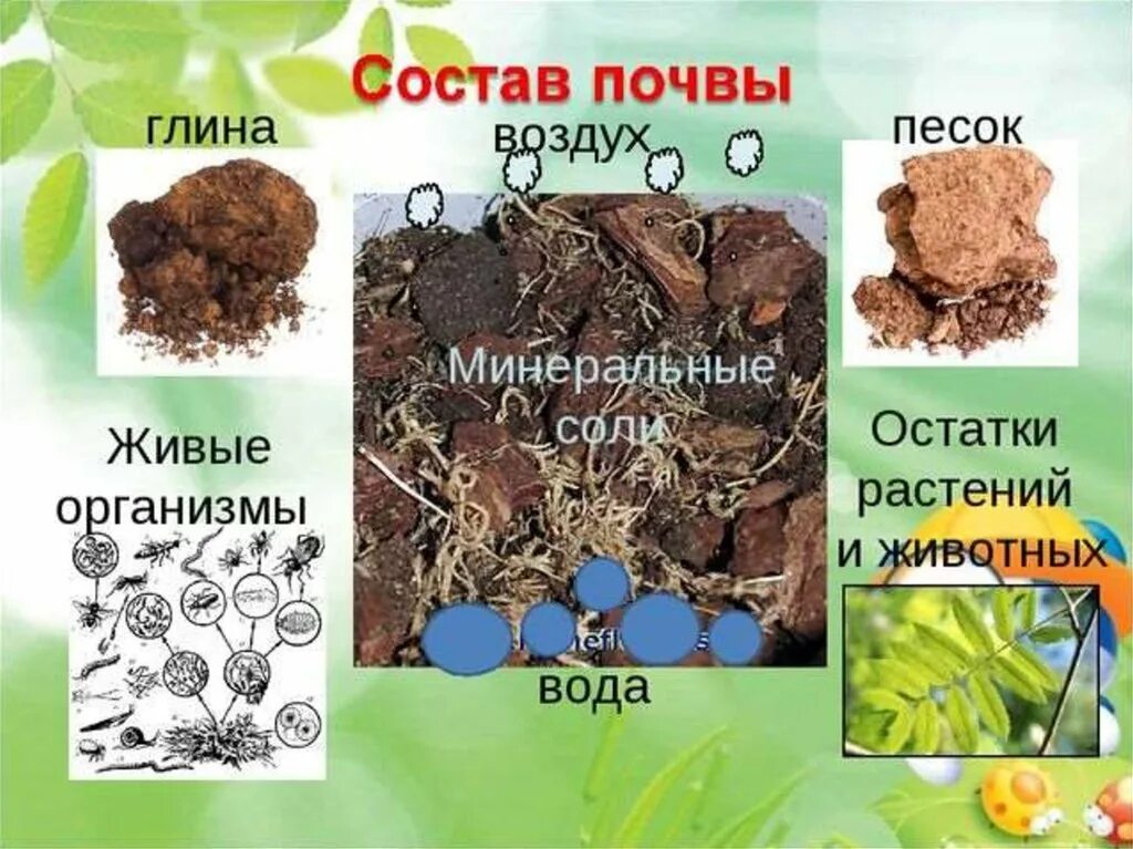 Состав почвы. Почва для дошкольников. "Изучение почвы дети". Состав почвы для дошкольников.