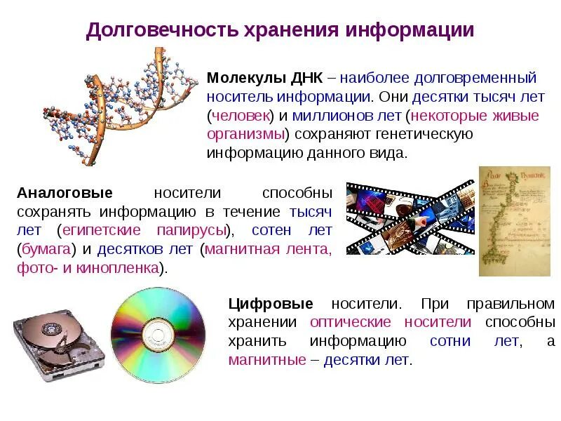 Днк хранение информации. Передача информации. хранение информации в днк. передача информации в социальных и биологических системах. современные компьютерные носители информации.