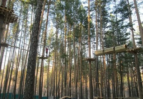 Парк хамелеон