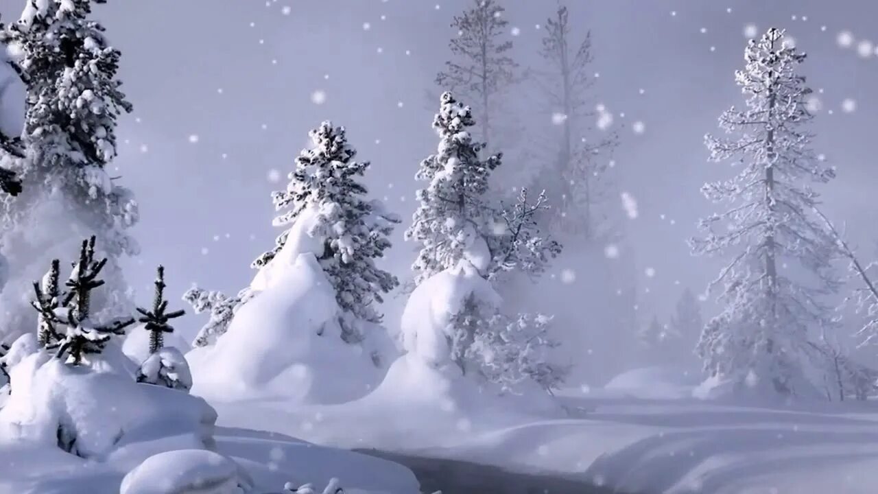 Зимний сказочный футаж. Зимний лес для видеомонтажа. футаж зимний лес. футаж сказочный зимний лес. футажи зимний сказочный лес.