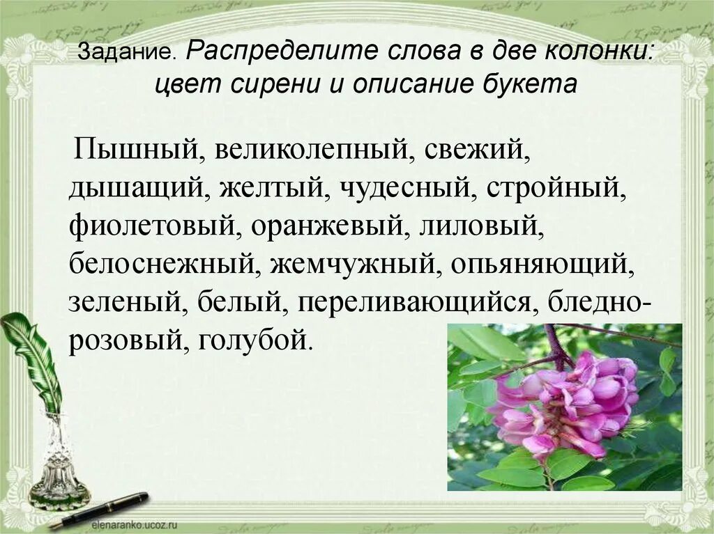 Рассказ букет цветов. Красивое описание букета. Описание цветочного букета. Описание букета цветов текст. Красивое описание букета цветов.