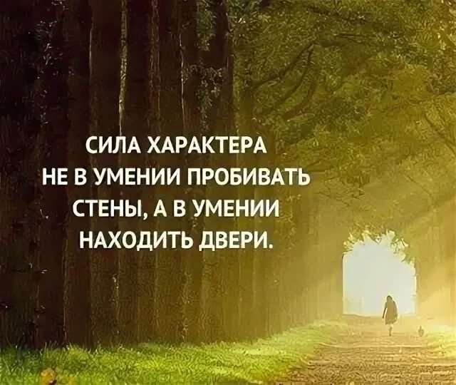 Сила характера это. Сила характера не в умении. Сила не в умении пробивать стены. Сила характера не в умении пробивать стены а в умении находить двери. Сида не в умении пробивать стены.