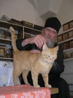 Старцев и котик