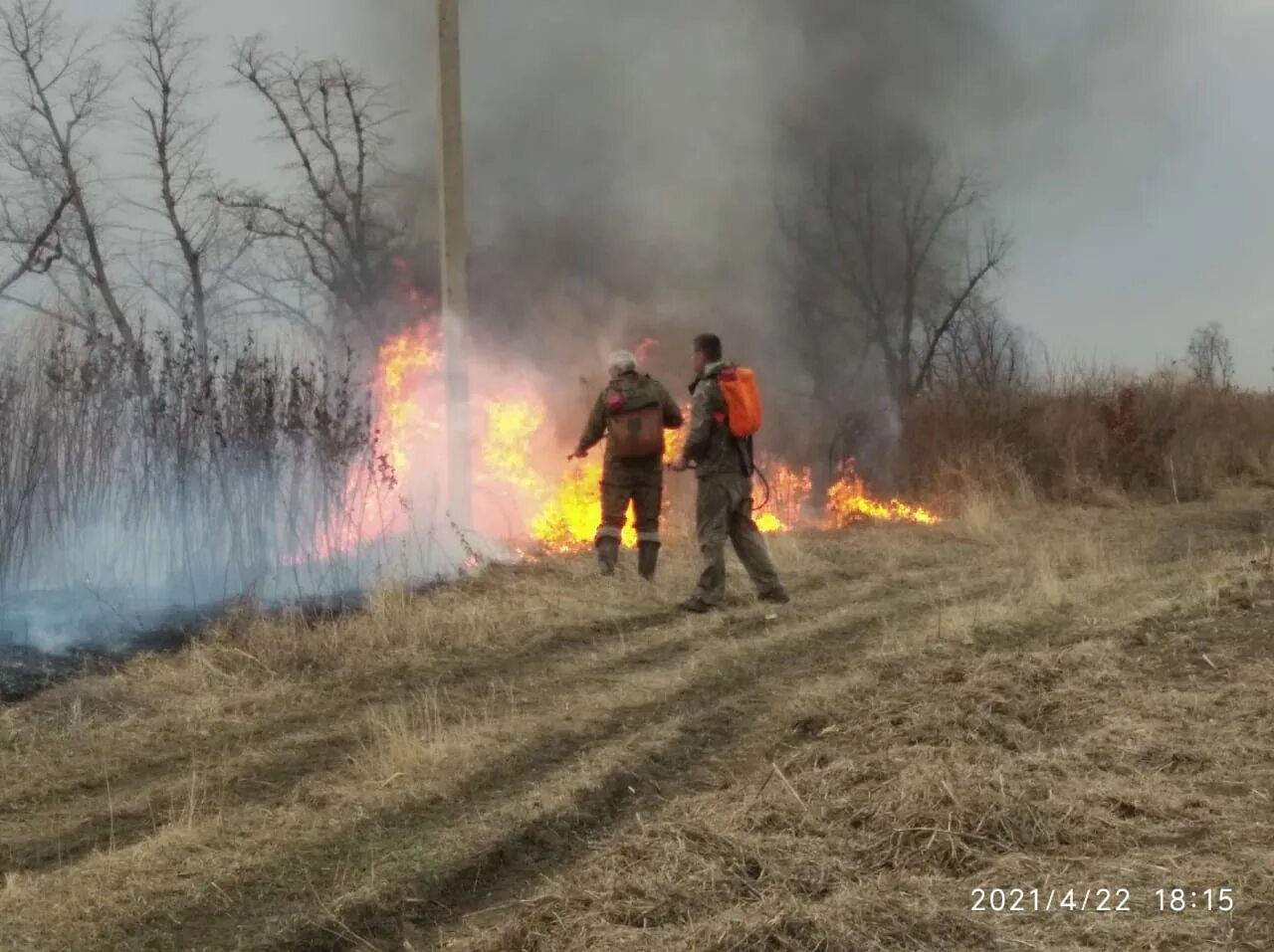 Сгорел парк. Пожар в Муравьевском парке. Измайловский парк пожар. Пожар парк Победы Москва. Кулига парк пожар.