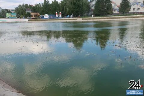 Зеленодольск зеленый