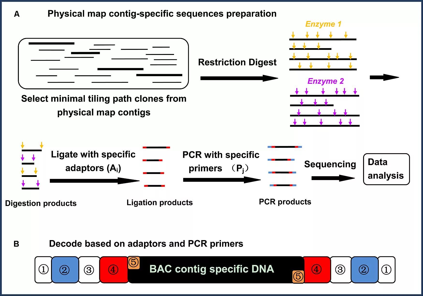 Sequence map