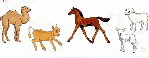 Анна Золотаренконың қатысуымен барлық порно видео онлайн