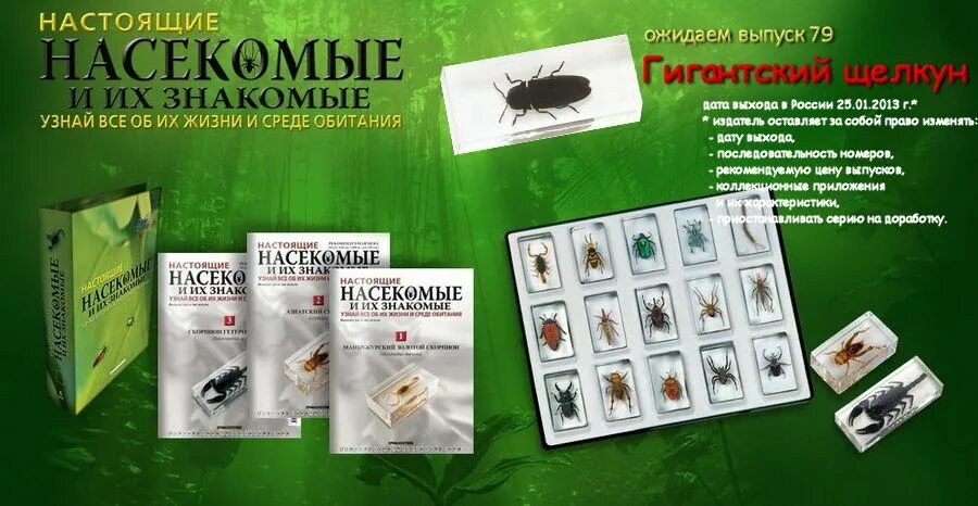 насекомые из журнала. настоящие насекомые. животные и их знакомые. насекомые и их знакомые. журнал насекомые и их знакомые.