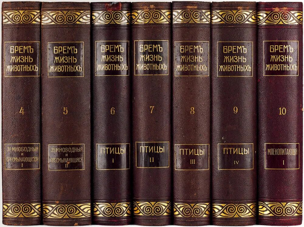 Жизнь животных том 4. А э брэм жизнь животных. энциклопедия брэма. 7 томов брем жизнь животных. брэм жизнь животных 5 томов.