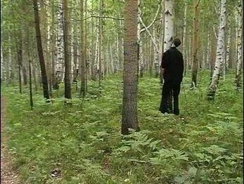 Нашли повешанным