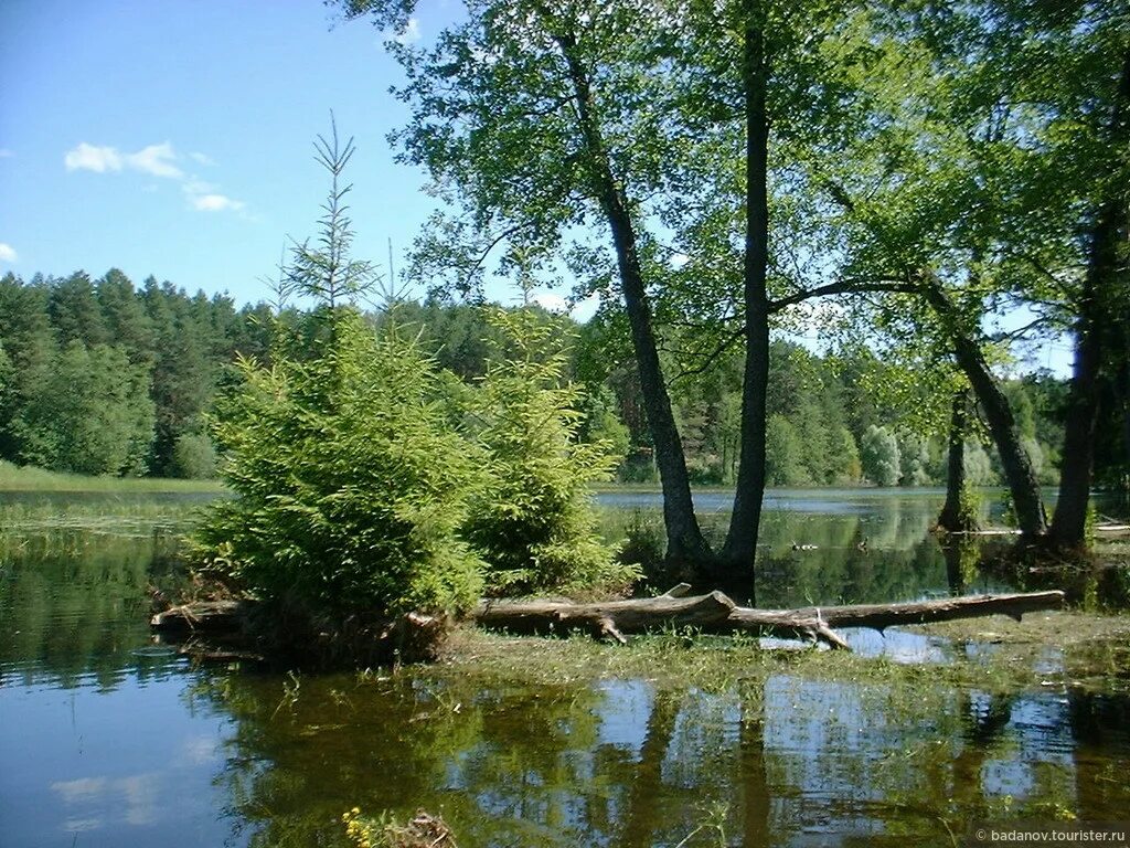 Республика Марий Эл природа. Озера Республики Марий Эл. Фотографии природы Марий Эл. Озёра Семиозёрка Марий Эл. Березка марий эл