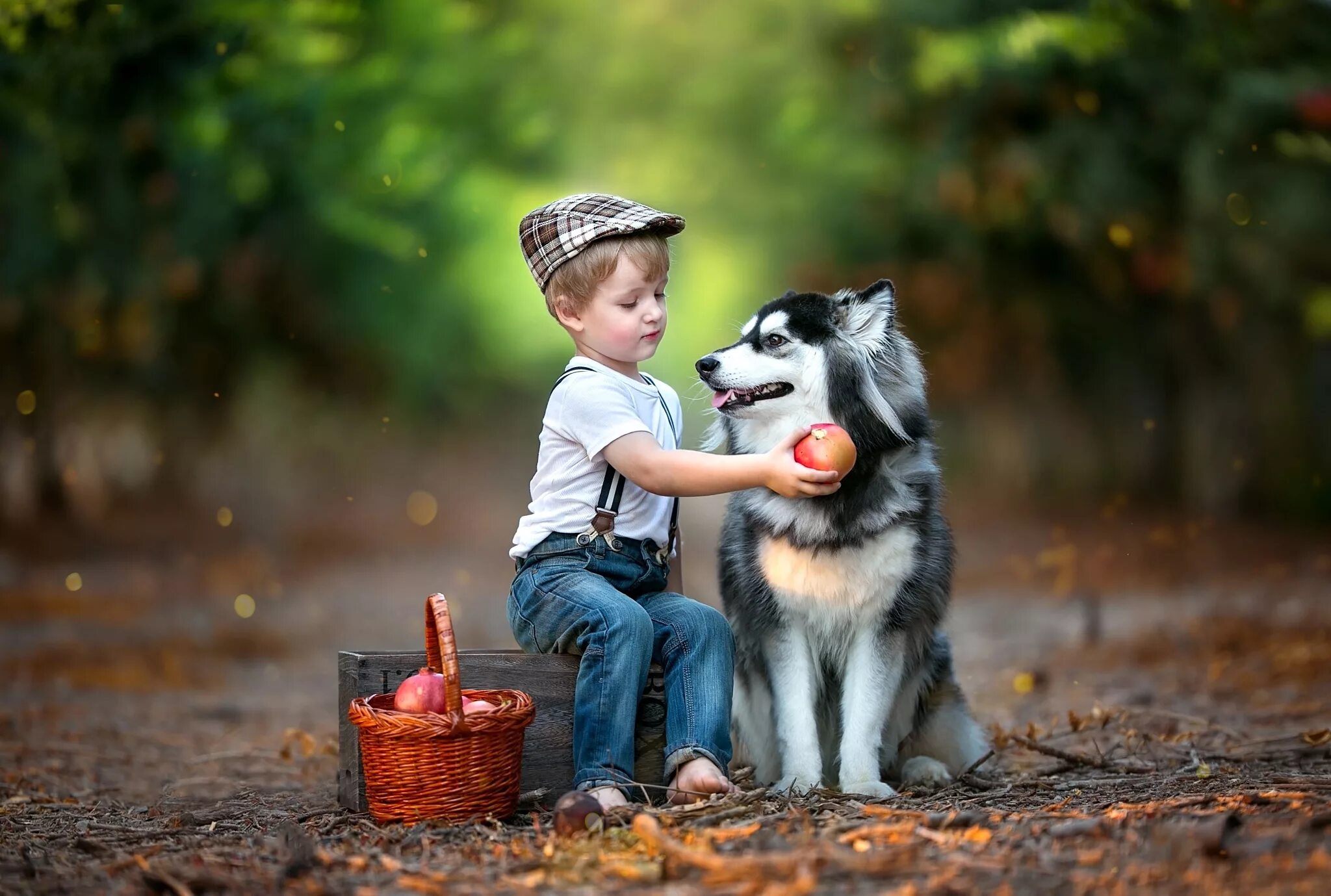 Собака для детей. Мальчик с собакой. Фотосессия с собакой. Детская фотосессия с собакой.
