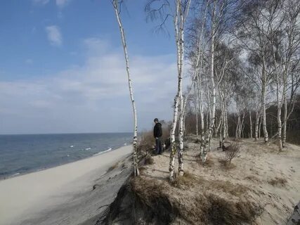 Погода в зеленоградске в апреле