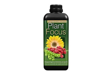Focus plant