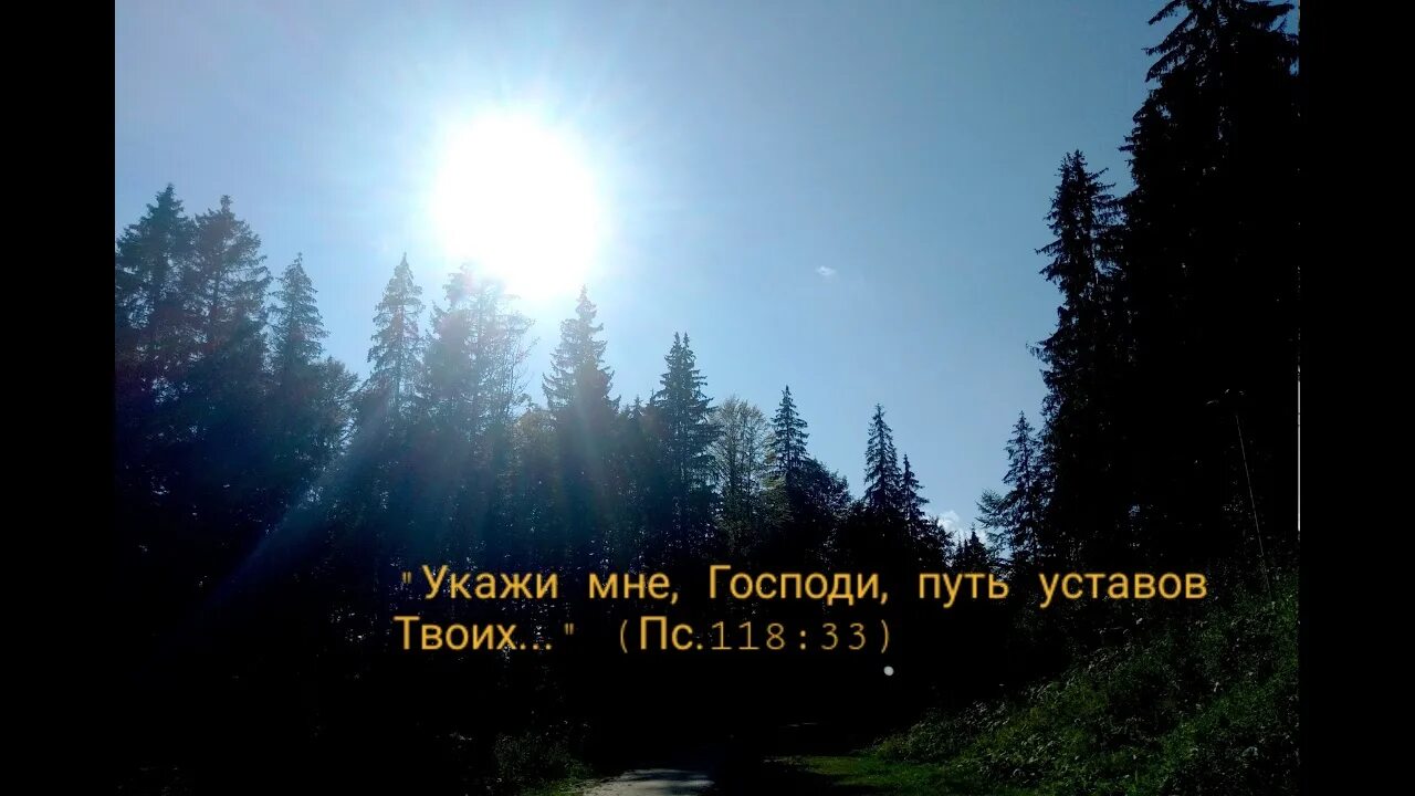 Христианская песня ты всего дороже. Христианская песня. Господь нам встречу подарил. Христианская песня как пугает тайна впереди. Христианские песни Шариковы Господи всемужро.