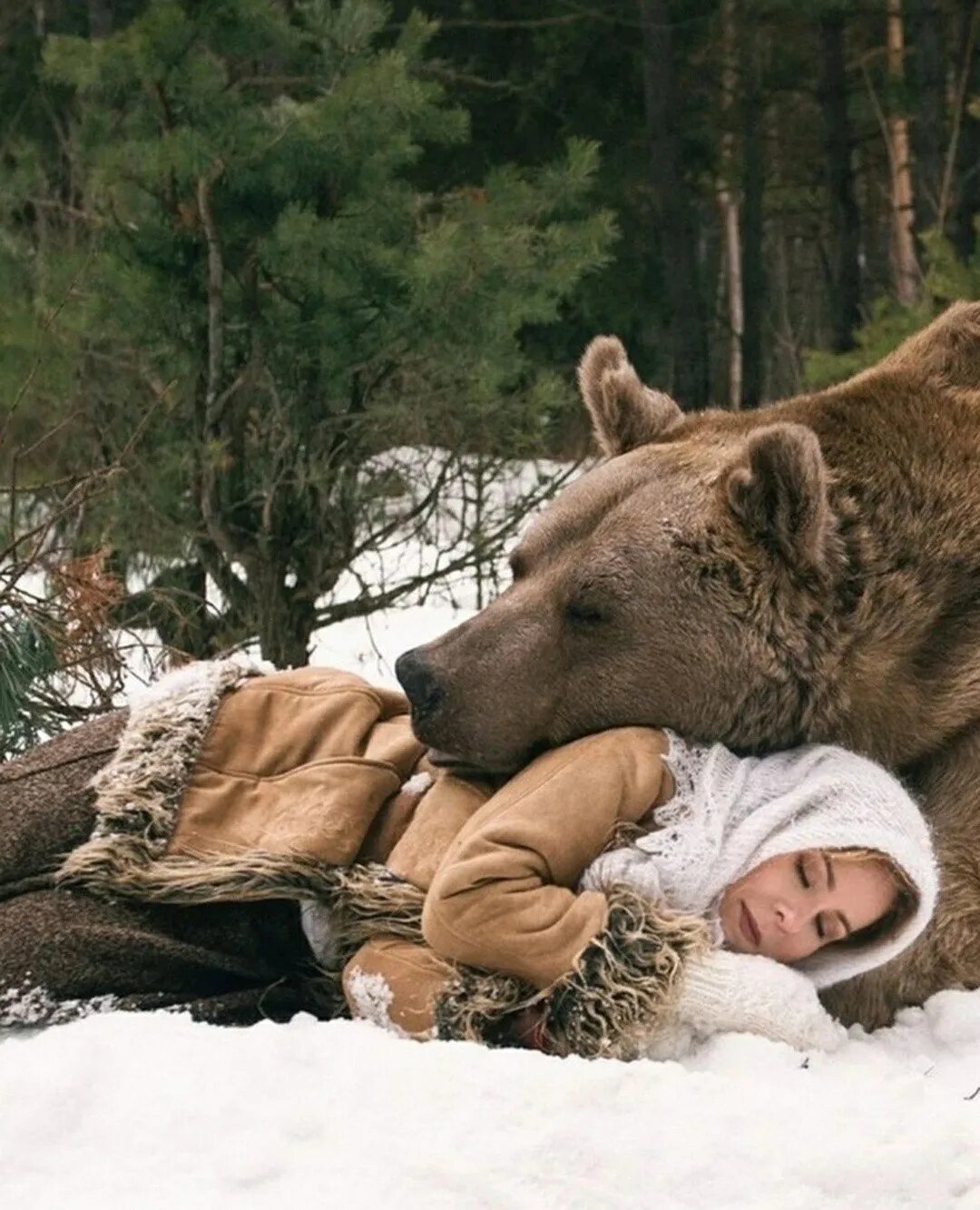 К чему снится добрый медведь