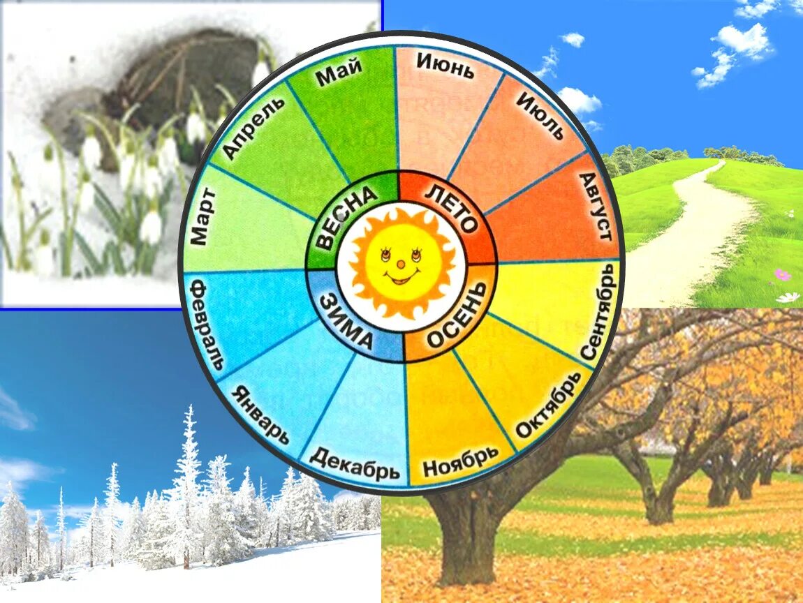 Названия времен года. Времена года по месяцам. Годовой круг времена года. Времена года и месяца для детей.