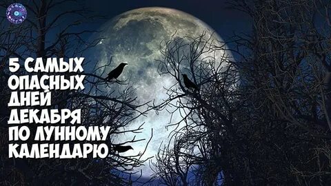 15 декабря день по лунному календарю