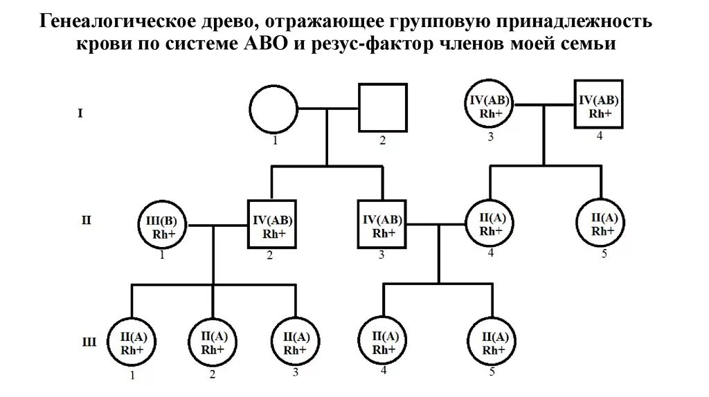 Родословная с заболеваниями по генетике. Наследование групп крови родовое Древо. Родословная генетическая дерево. Схема генетического исследования родословной. Код генеалогического древа