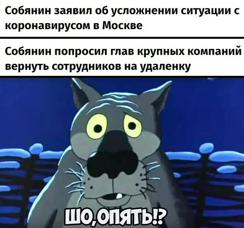 Коронавирус закончился. Коронавирус ограничения. коронавирус картинки прикольные. приколы про коронавирус. мемы коронавируса.