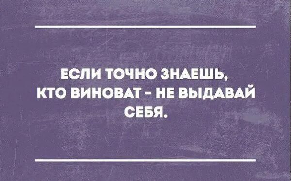 Кто виноват?. Кто виноват и что делать картинки. Кто виноват картинки прикольные. Виноват приколы. Просит не тот кто виноват