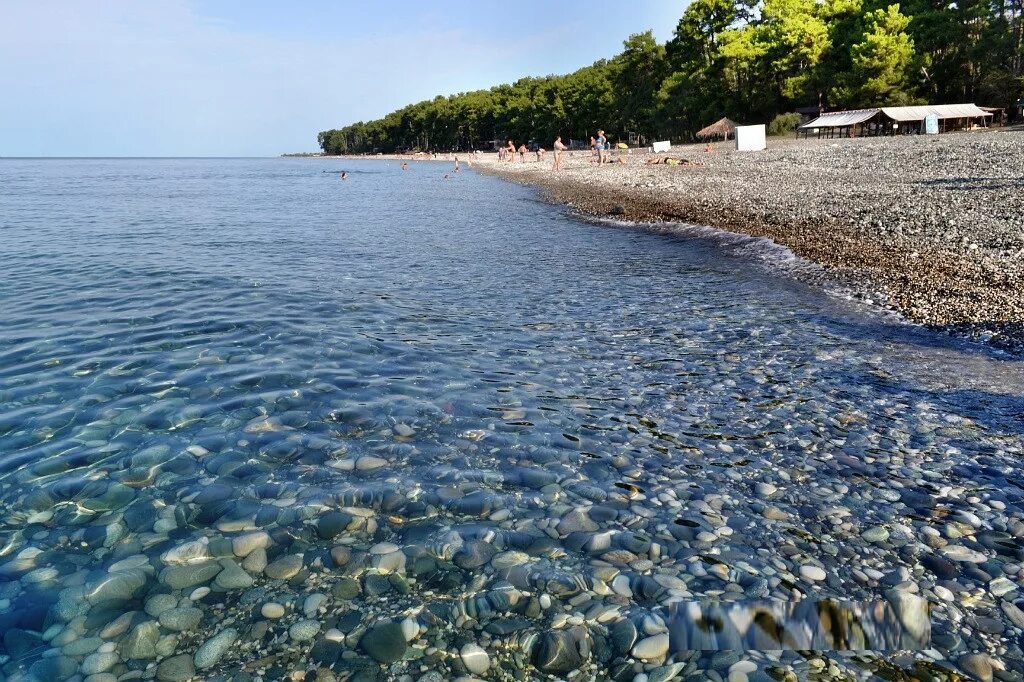 Отдохнуть в пицунде. Пицунда абхазия море. пляж пицунда абхазия. пляж пицунда абхазия 2025. берег в пицунде абхазия.