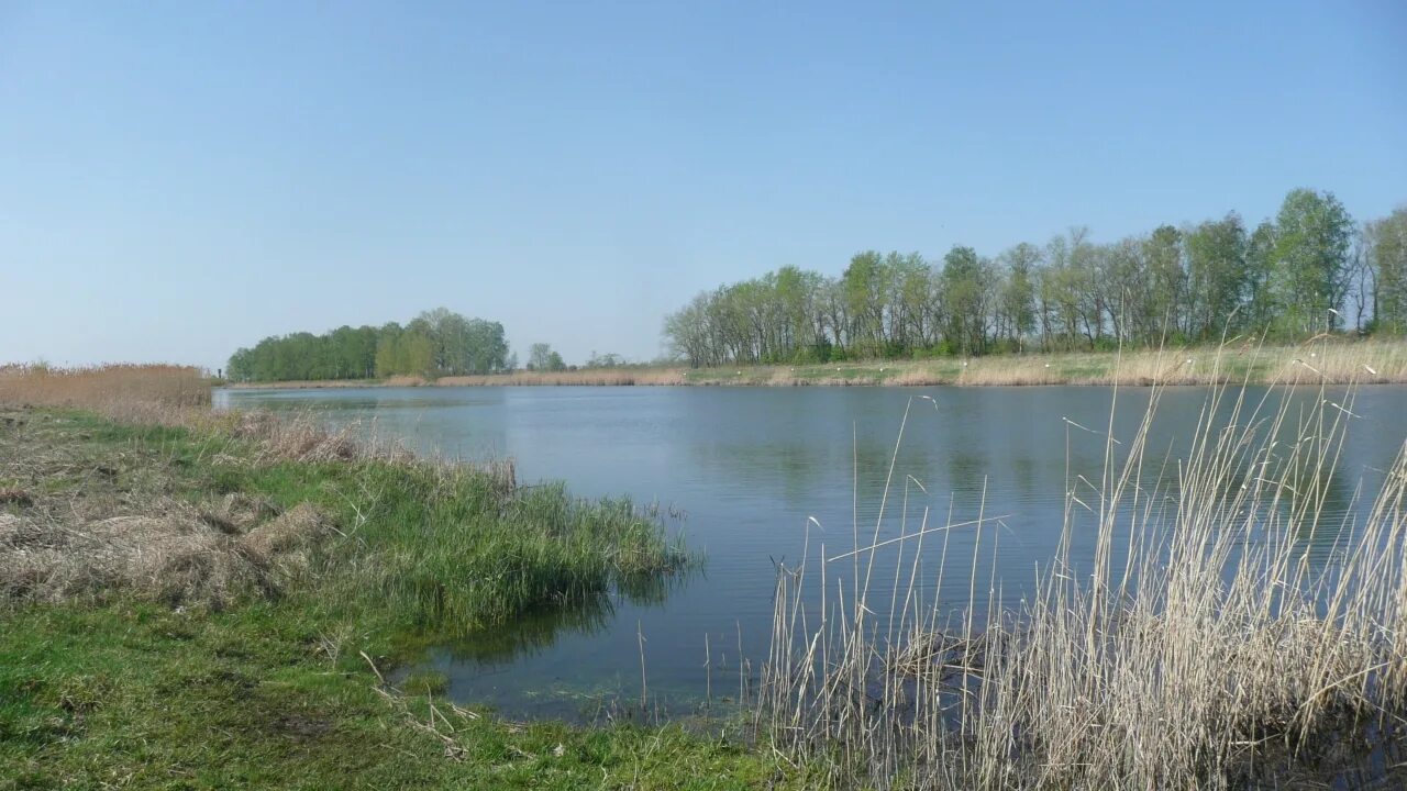 Пруд каширское воронежская область. Можайское водохранилище. Лысая гора лосево. Пруд каширское воронежская область. Пруд в можайском воронежская.
