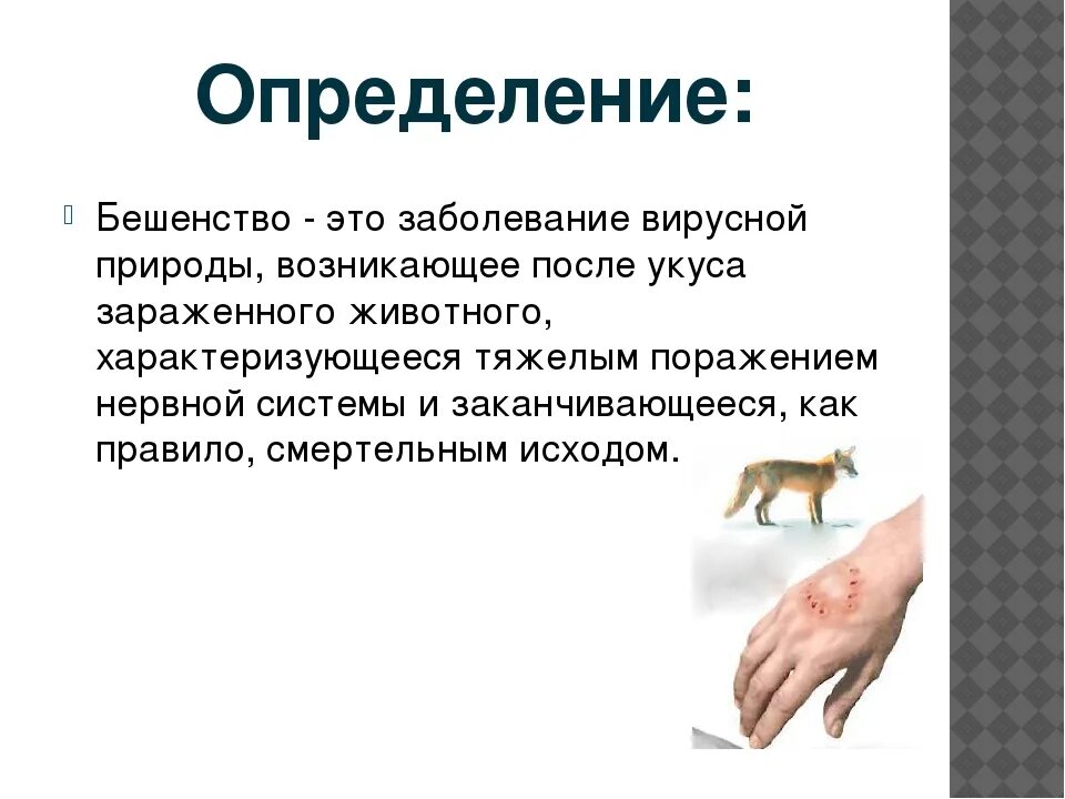 Бешенство через сколько после укуса. Презентация на тему бешенство профилактика. Симптомы бешенства у человека.