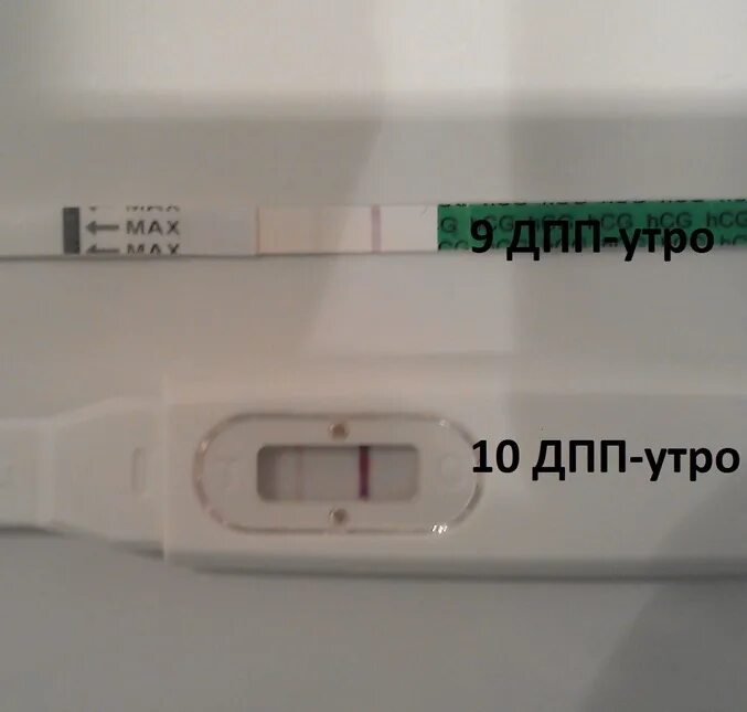 10 дпп тест отрицательный. Тесты после переноса эмбрионов. Тянет низ живота после переноса эмбрионов. После подсадки эмбриона тянет низ живота. Болит живот после переноса эмбриона.