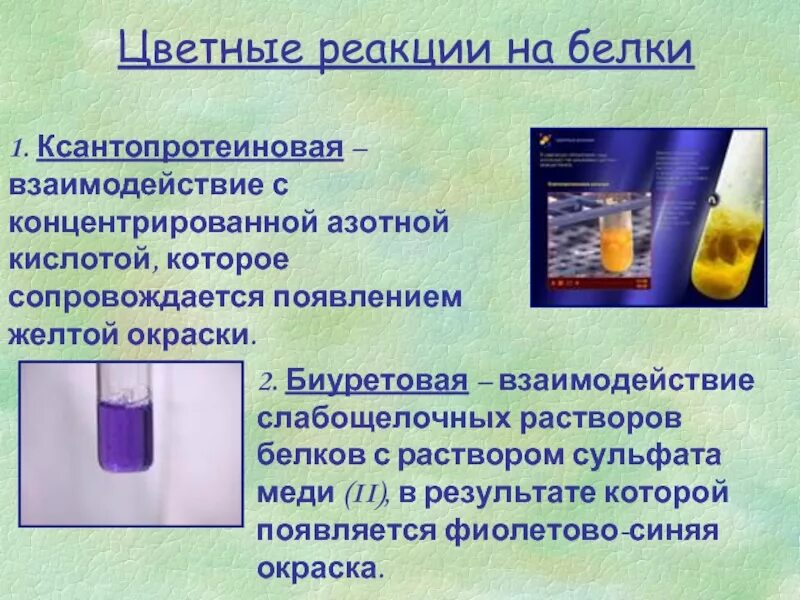 Качественные реакции доказывающие наличие белка. Цветные реакции белков. качественные реакции на белок цветные реакции. цветные реакции белка. цветные реакции на белки уравнения.