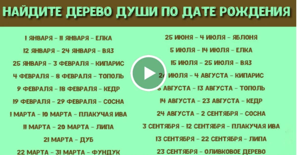 Как узнать под каким деревом родился человек