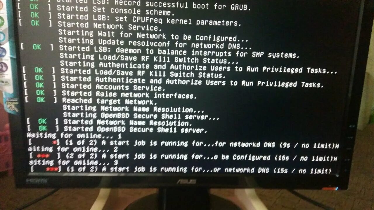 Raise network interfaces. Raise network interfaces