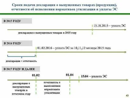 Сколько раз подают декларацию