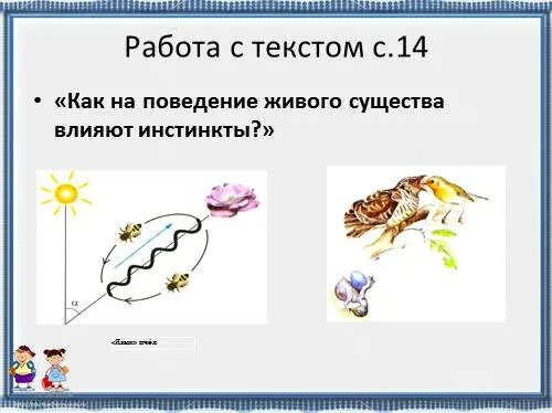 Прочитайте текст все живые существа. Как на поведение живого существа влияют инстинкты. Как на поведение живого существа влияют инстинкты пчёлы. Поведение насекомых инстинкты. Как на поведение животного влияют инстинкты.