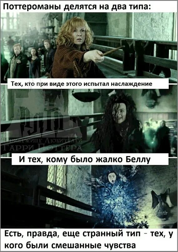 Шутки которые поймут только. Поттероман. приколы которые поймут только поттероманы. мемы про поттероманов.