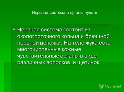 Значение жесткокрылых
