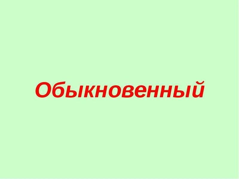Написал обыкновенную
