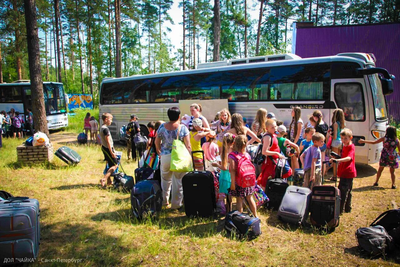 Лагерь зеленый город нижегородская. Лагерь Чайка Колосково. Детский оздоровительный лагерь Чайка Колосково. Лагерь Чайка Ленинградская область Колосково. Детский оздоровительный лагерь Чайка, посёлок Колосково.