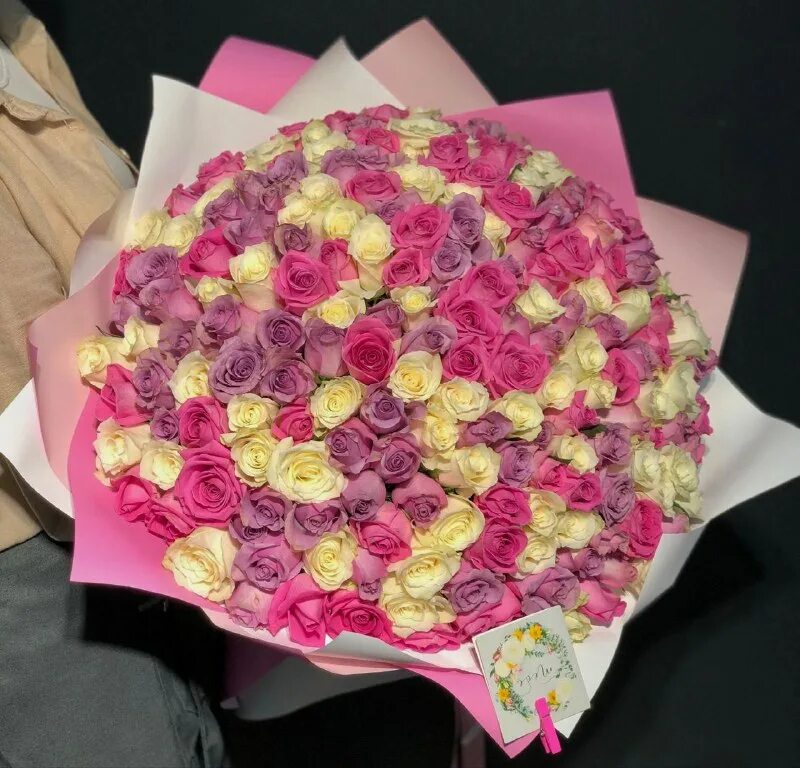 розы махачкала