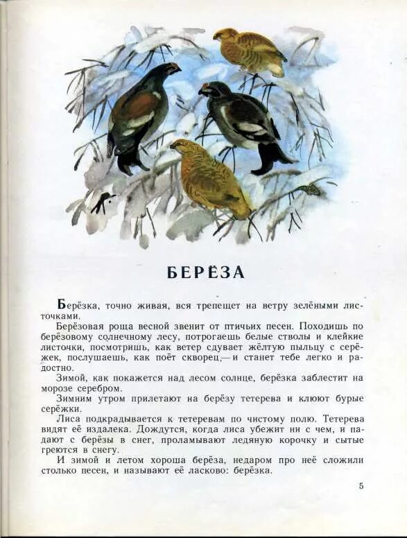 Г.Я Снегирёв карликовая берёзка. Снегирев рассказы текст