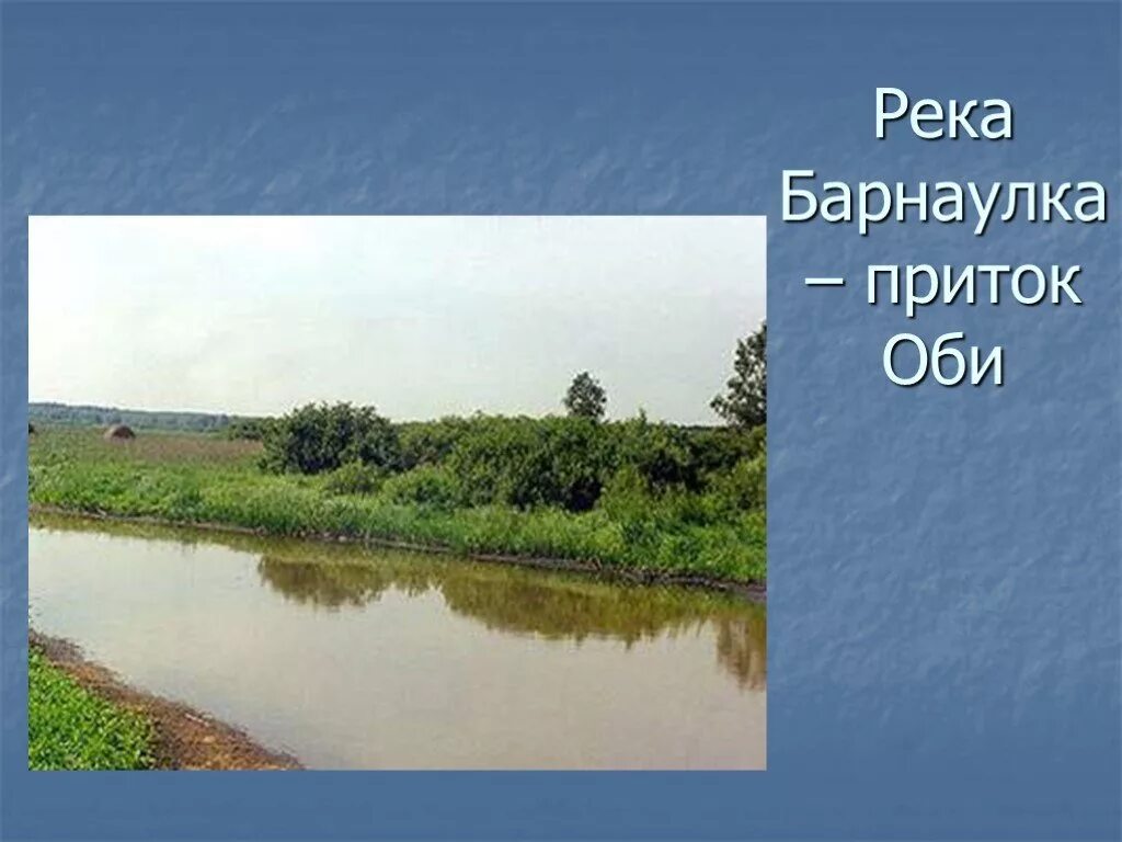 Река Барнаулка на карте. Приток реки Барнаулка. Исток Барнаулки. Исток реки Барнаулка.