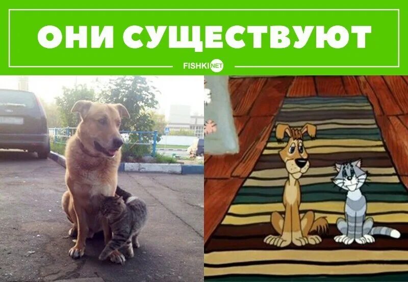 Король лев мем с котом. Они существуют р р. Они существуют р р. Они существуют р р. Обезьянки из мультика выросли.