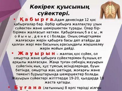 Қардың суретіндегі жалаңаш жігіттер