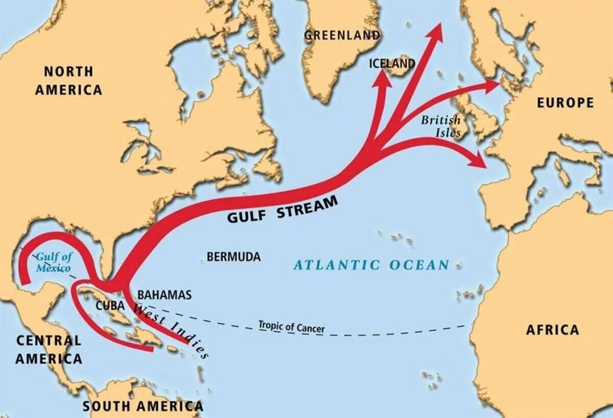 Самое мощное теплое течение в океане. Гольфстрим течения Атлантического океана. Течение Гольфстрим на карте Атлантического океана. Флоридское течение на карте Атлантического океана. Схема течения Гольфстрим.