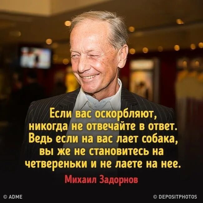 Как ответить если тебя оскорбили. Цитаты про оскорбления. афоризмы про оскорбления. если на вас лает собака задорнов. задорнов если тебя оскорбляют никогда.