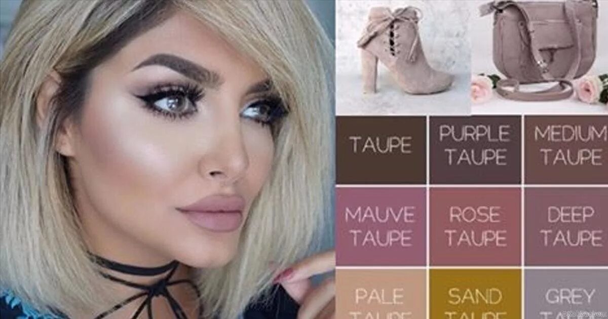 Taupe color. Цвет taupe. тауповый цвет. оттенки цвета тауп. цвет тауп это какой цвет.