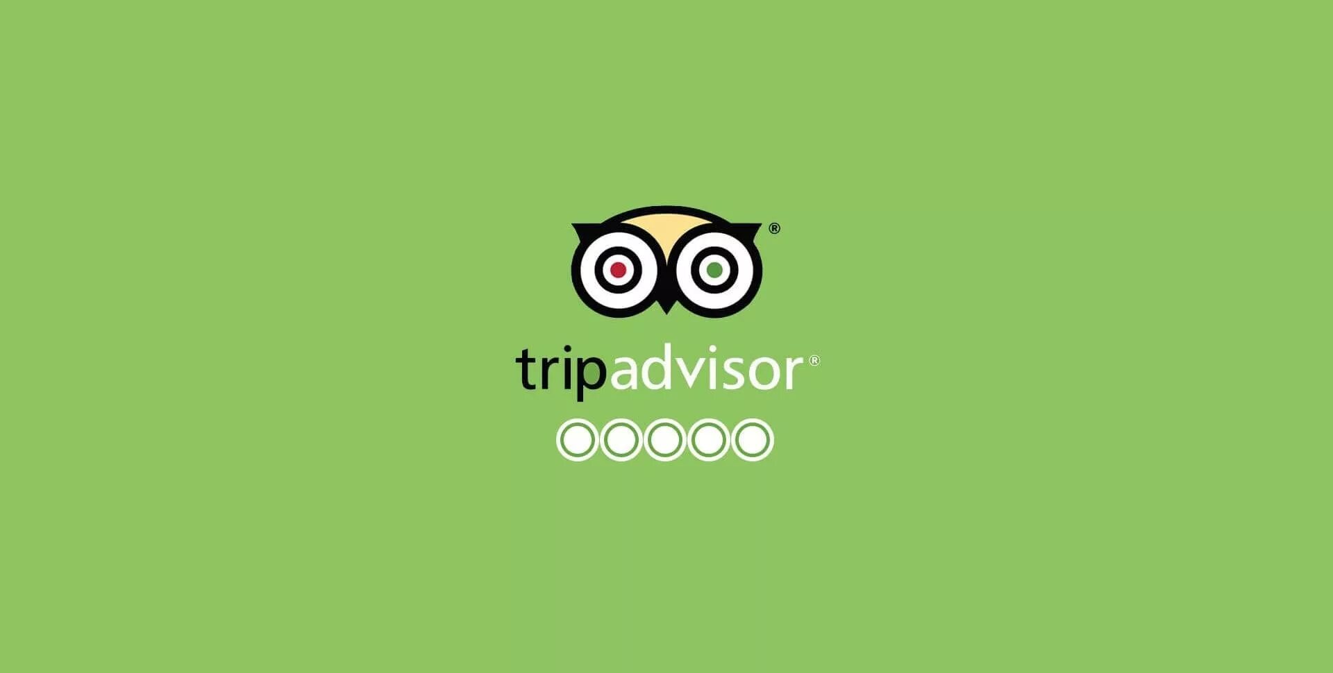 Трипадвизор. Трипадвизор логотип. Значок TRIPADVISOR. Логотип TRIPADVISOR svg. Трип эдвайзер