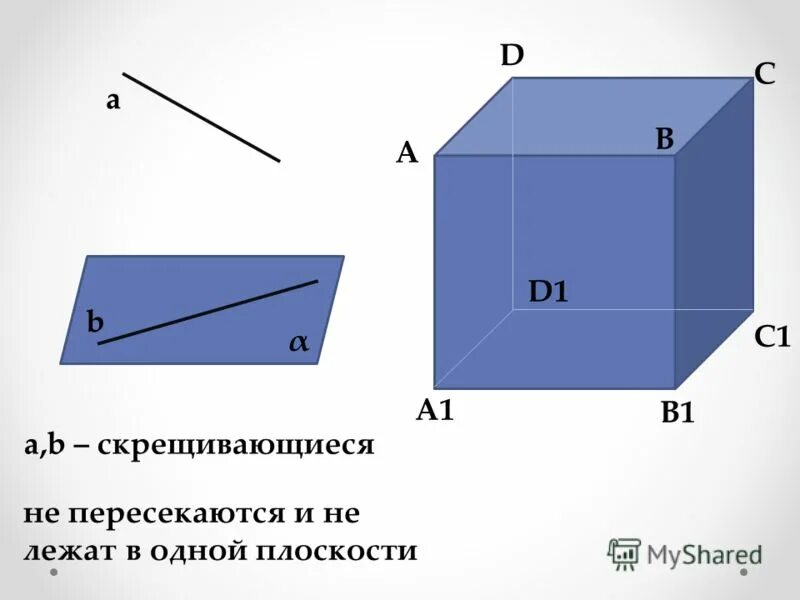 Скрещивающиеся стороны