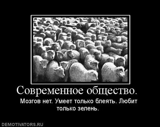 Почему люди стадо. Общество потребления демотиваторы. демотиваторы про общество. современное общество демотиваторы. стадо людей.