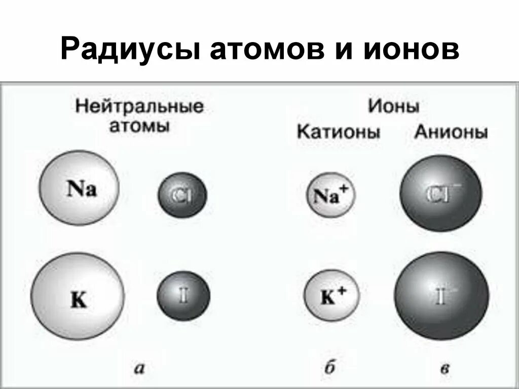Наибольший радиус имеет элемент. Атомный радиус d-элементов. Радиус атома и Иона. Атомные и ионные радиусы. Радиусы атомов химических элементов.